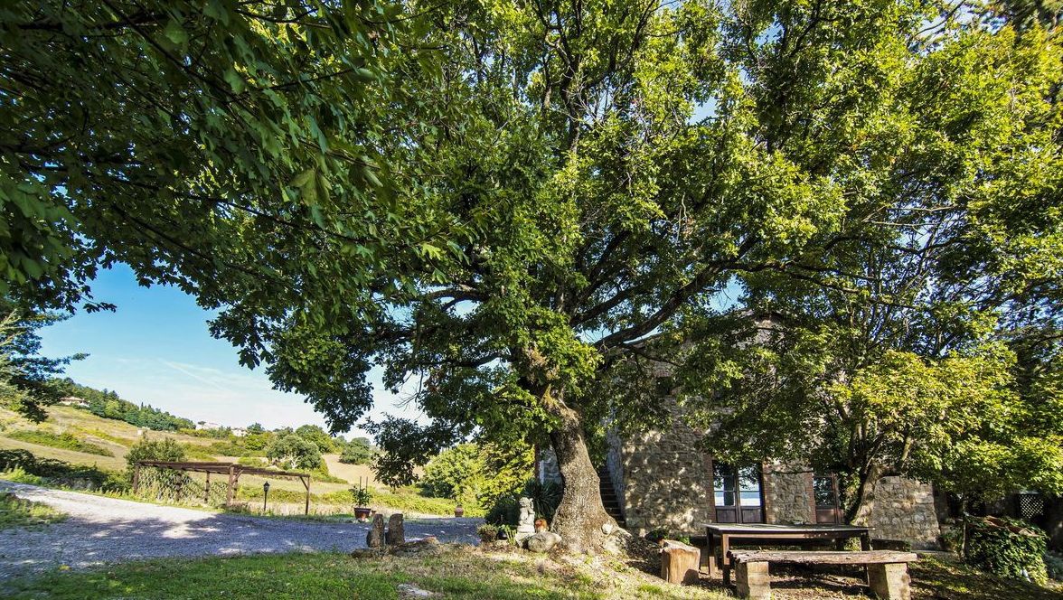 COUNTRY HOUSE - SALE - ROCCASTRADA - CENTRO COUNTRY HOUSE - SALE - ROCCASTRADA - CENTRO