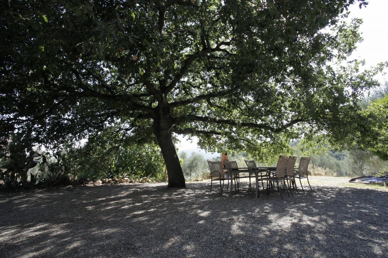 Casale a Gavorrano · Foto 4