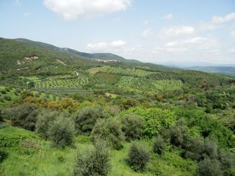 Casa semi indipendente a Gavorrano · Foto 12