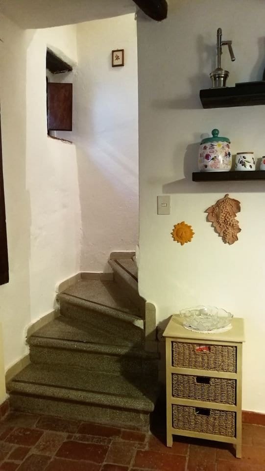 Terratetto a Gavorrano · Foto 7