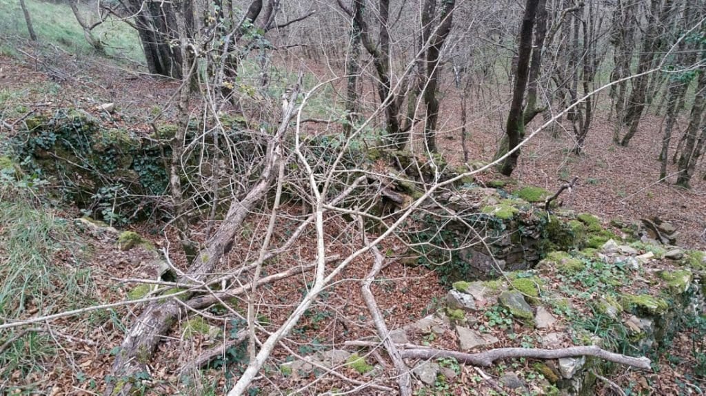 Rustico a Santa Fiora · Foto 3