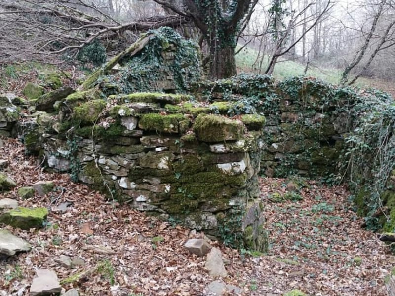 Rustico a Santa Fiora