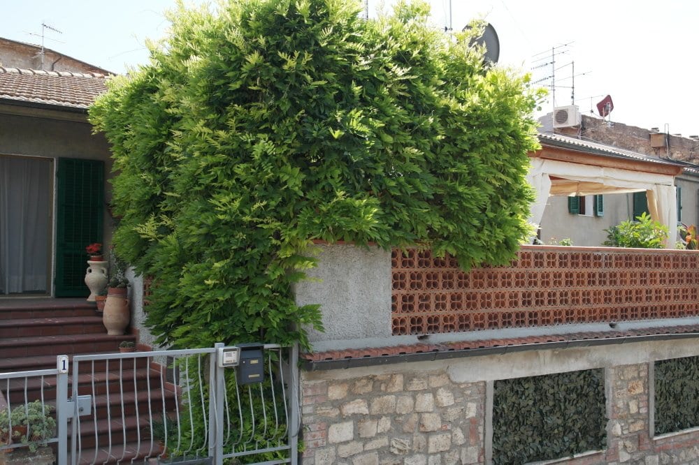 Casa semi indipendente a Gavorrano · Foto 16