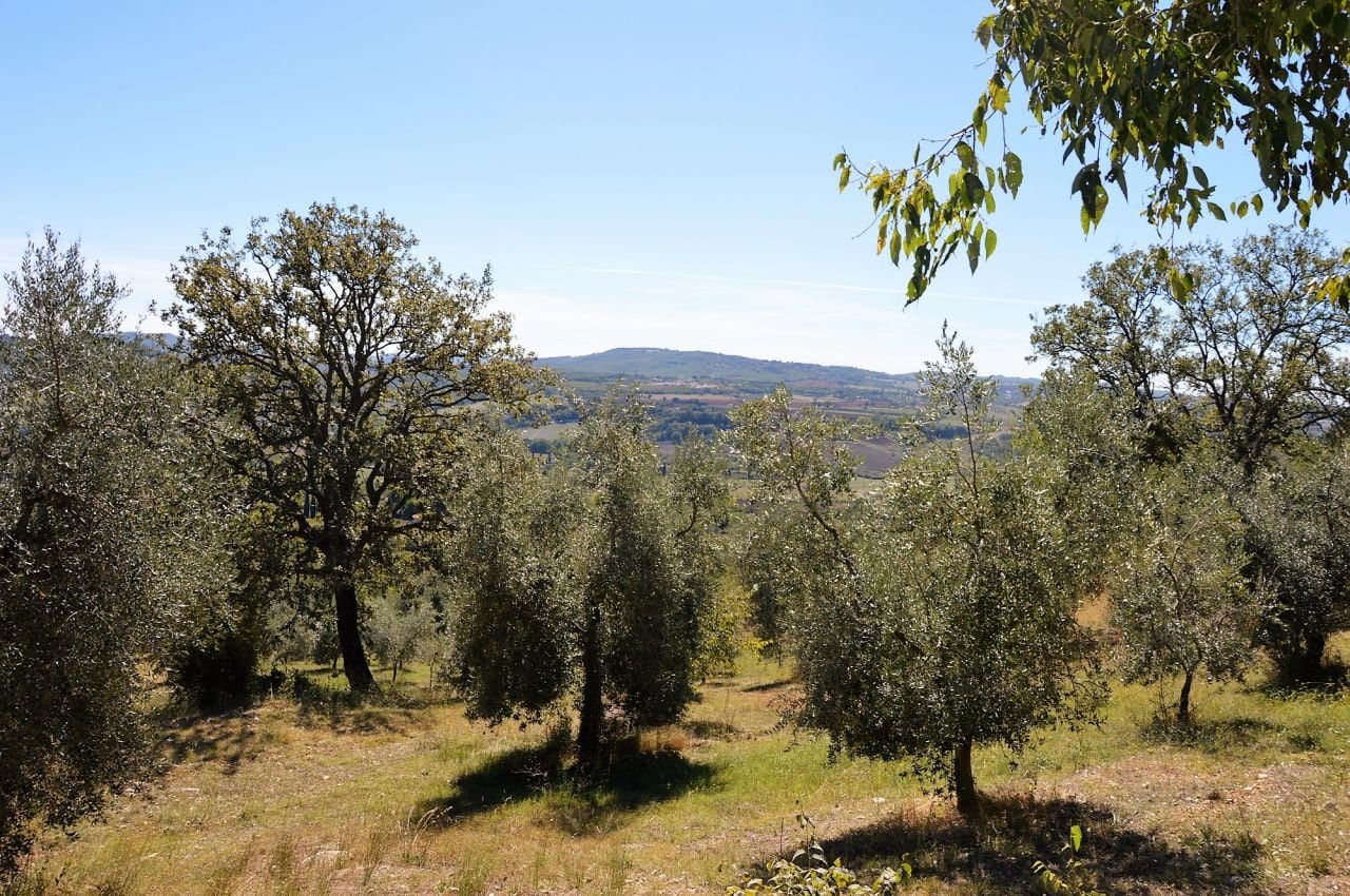 Villa a Manciano · Foto 21