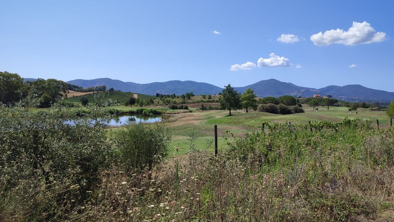Azienda agricola a Gavorrano · Foto 4
