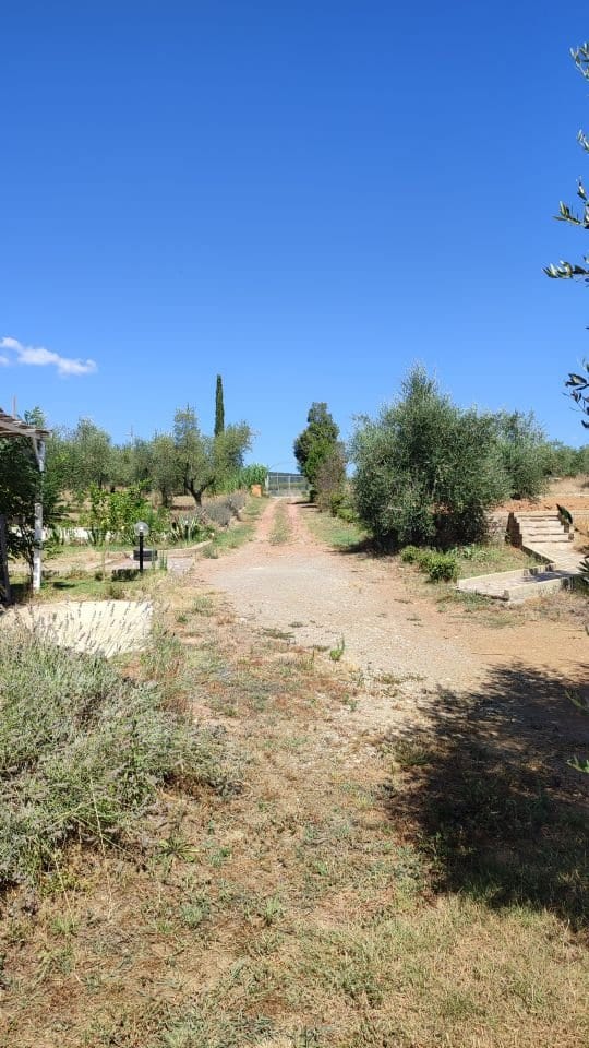 Azienda agricola a Gavorrano · Foto 6