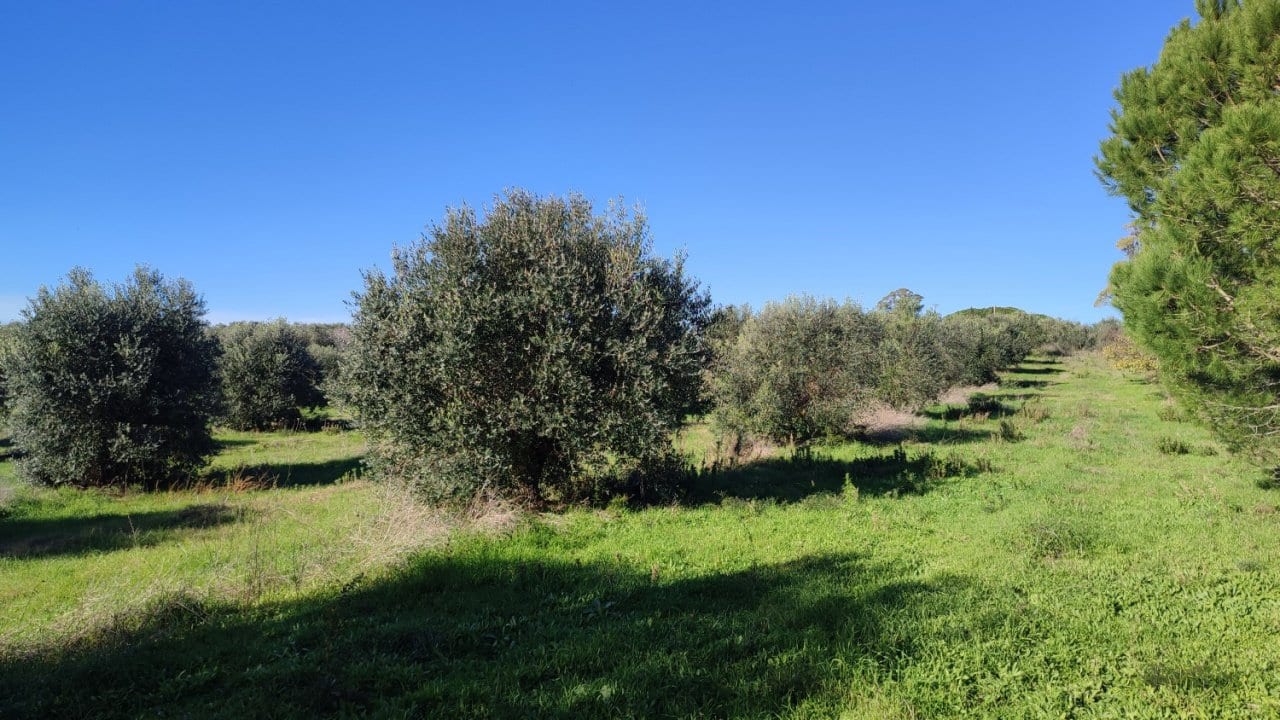 Casale a Follonica · Foto 5