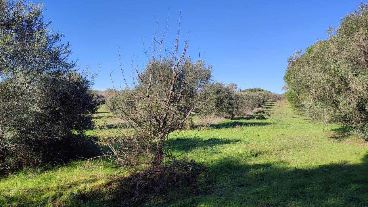 Casale a Follonica · Foto 19