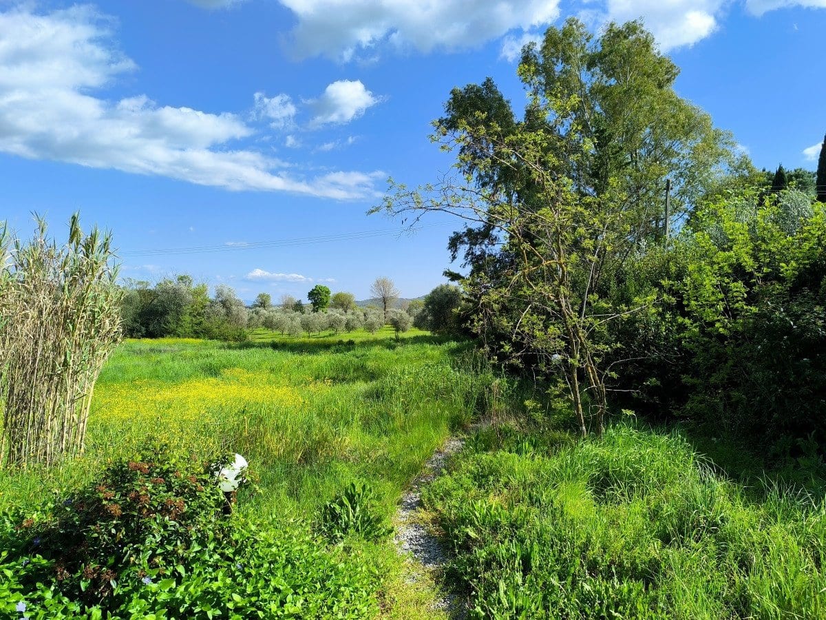 Casale a Gavorrano · Foto 22