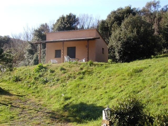 Rustico a Gavorrano · Foto 16