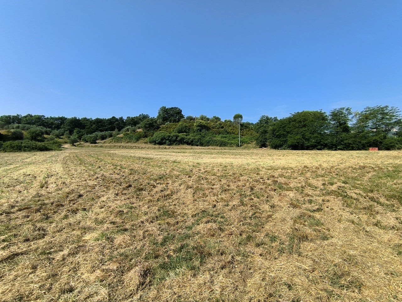 Rustico a Gavorrano · Foto 25
