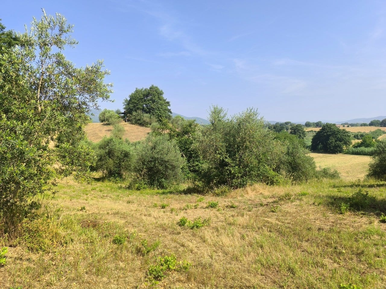 Rustico a Gavorrano · Foto 26