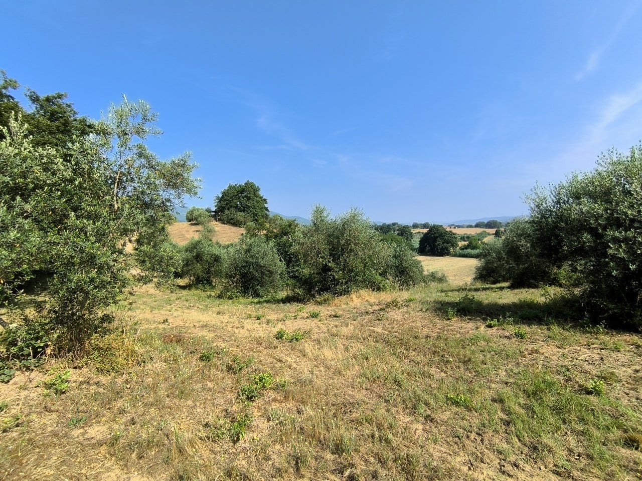 Rustico a Gavorrano · Foto 27