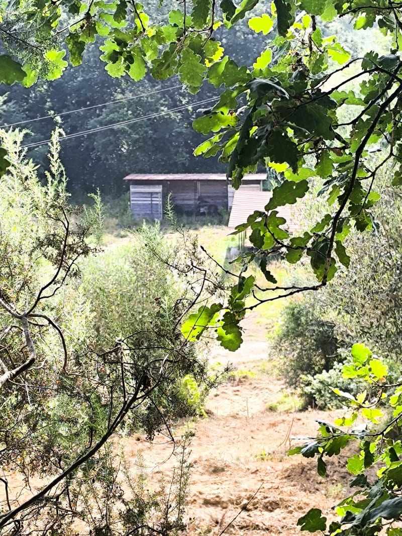 Rustico a Gavorrano · Foto 31