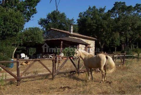 Rustico a Gavorrano · Foto 2