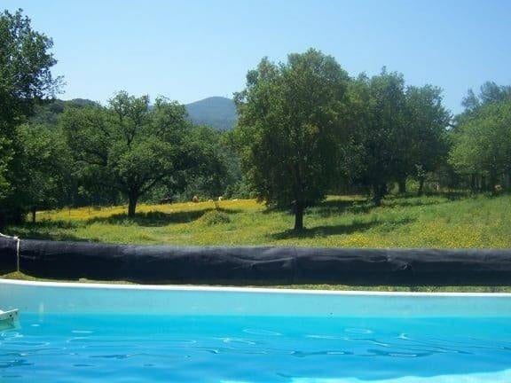 Rustico a Gavorrano · Foto 4