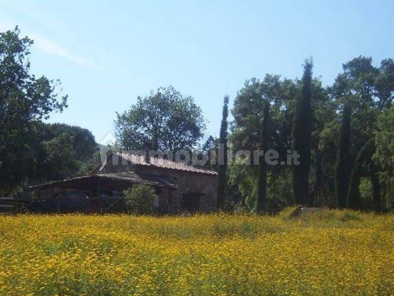 Rustico a Gavorrano