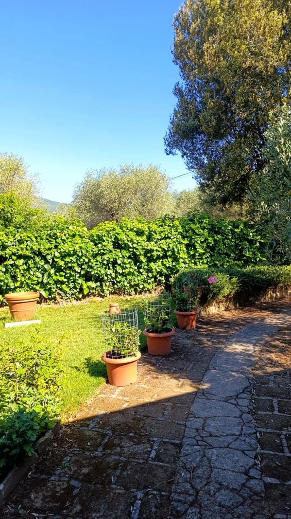 Appartamento a Castiglione della Pescaia · Foto 2