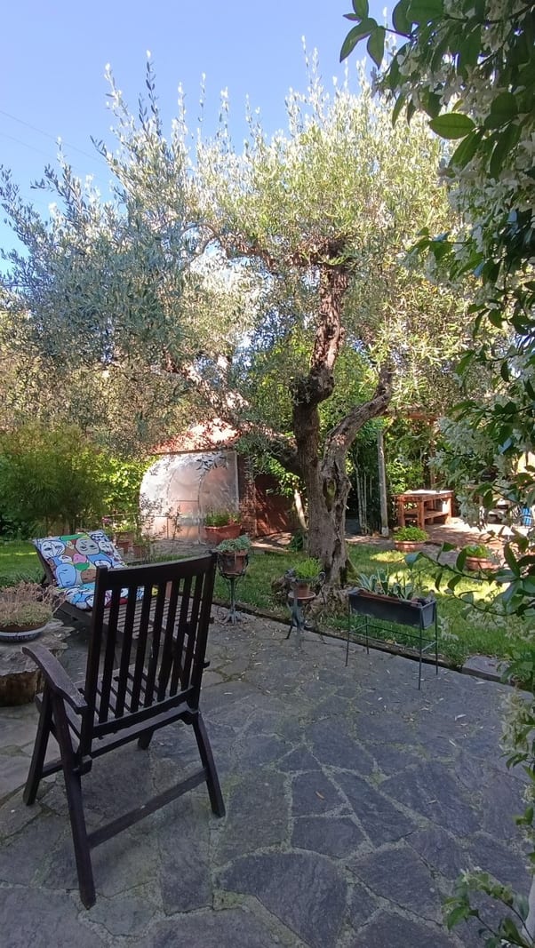 Appartamento a Castiglione della Pescaia · Foto 13