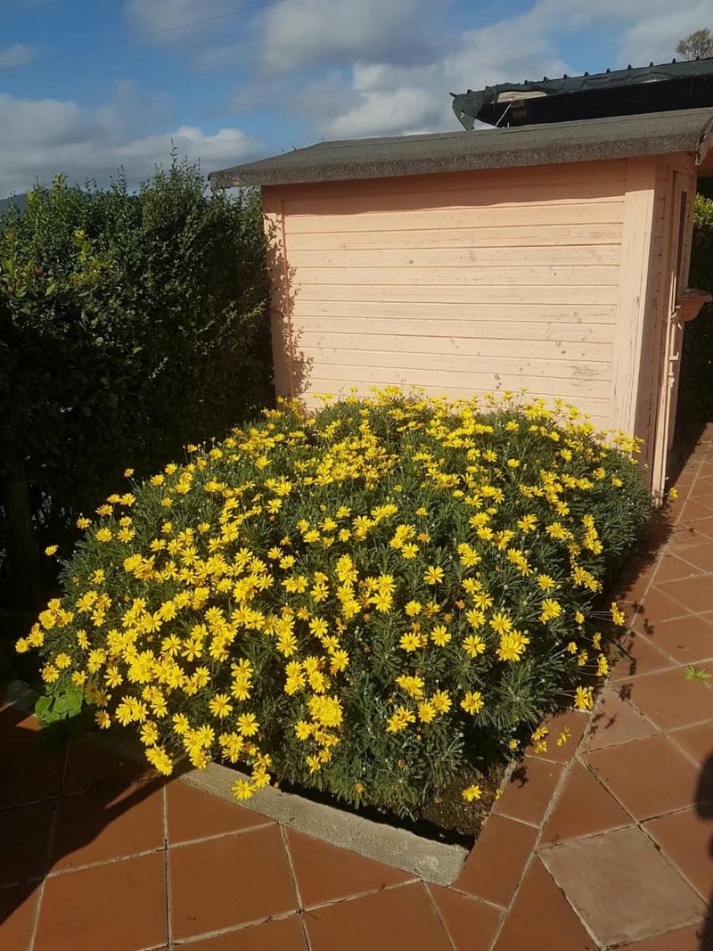 Casale a Castiglione della Pescaia · Foto 25