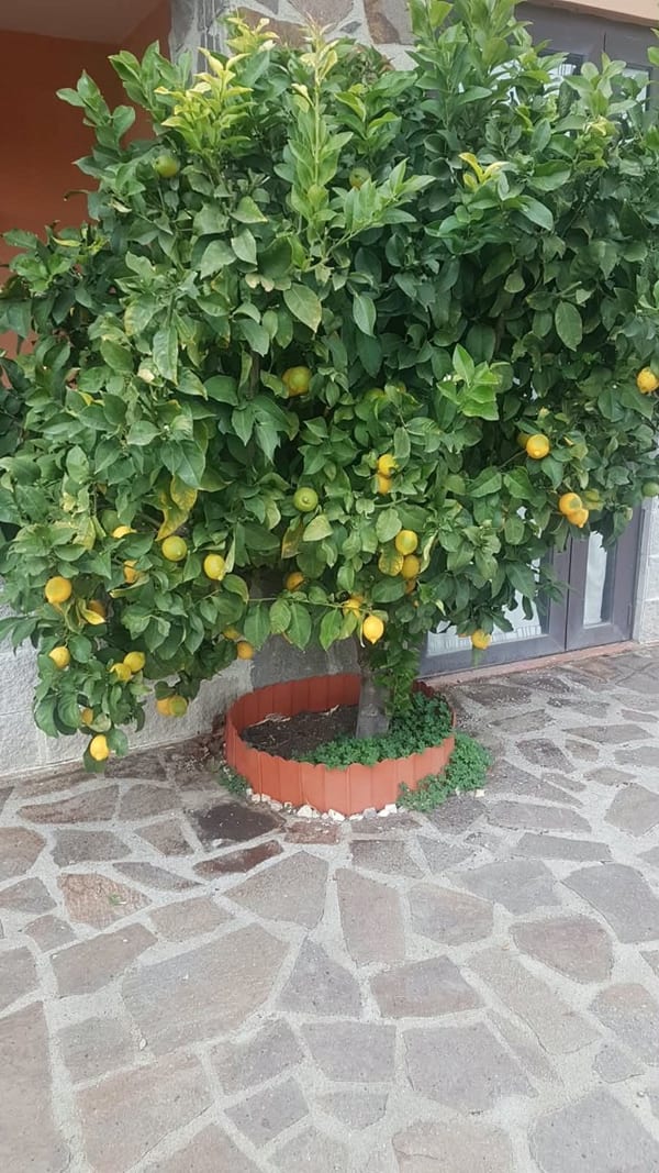 Casale a Castiglione della Pescaia · Foto 26